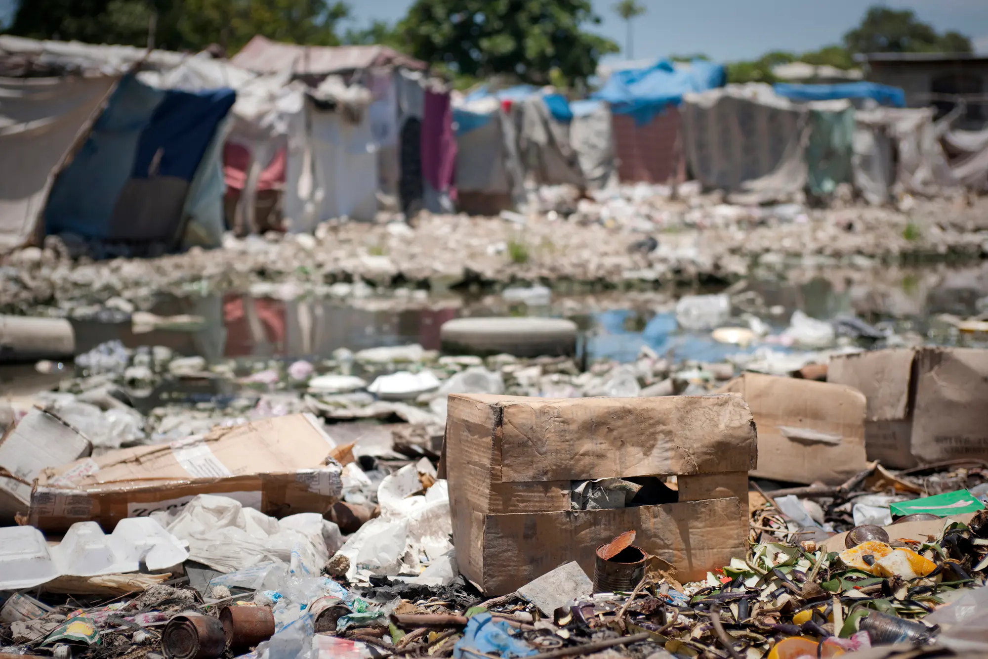 Cholera spreads through contaminated water sources