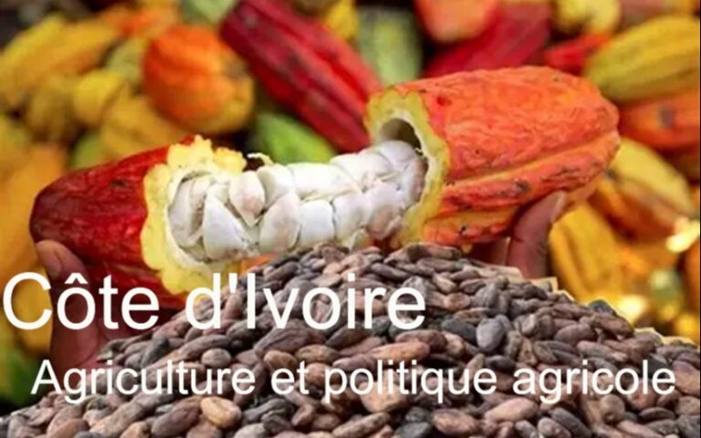2e9b347c-c3e2-4462-be17-65e209f85f7e