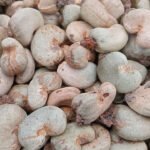 2cccef5e-1d3f-41e8-810c-272865aa5fb5