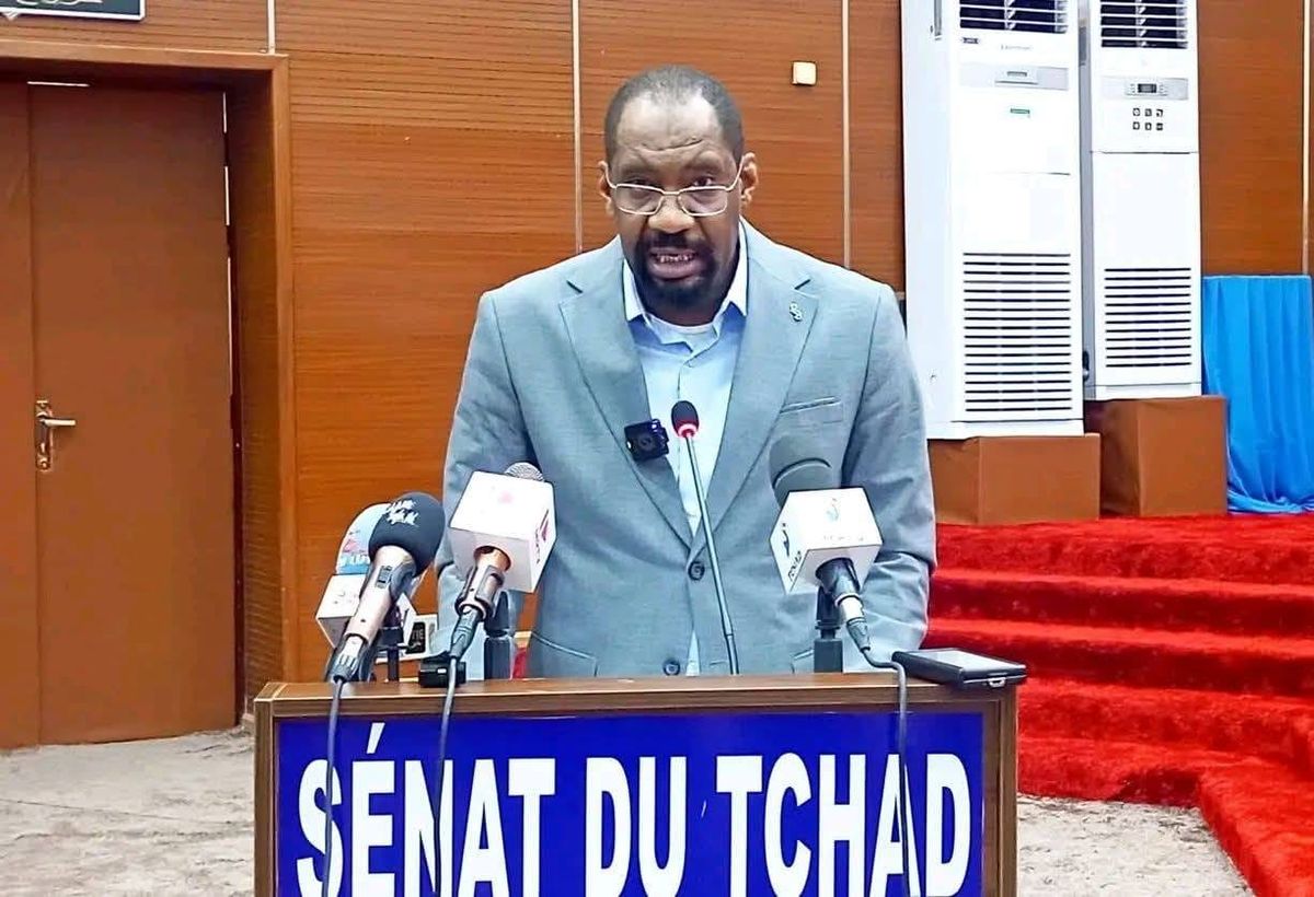 Chad's Public Security Minister addresses intercommunal violence